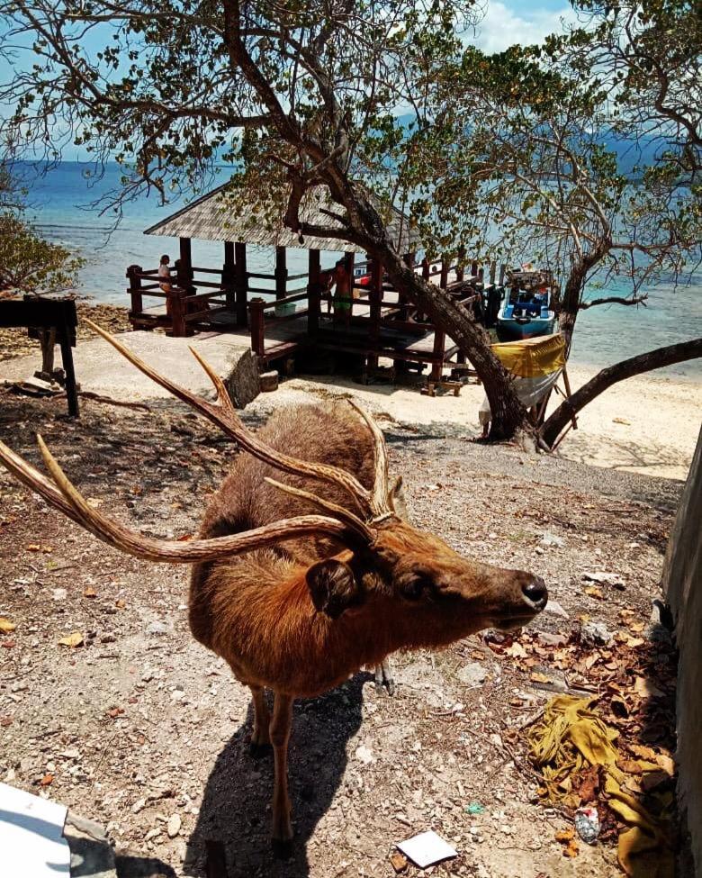 Badini Homestay Pemuteran Εξωτερικό φωτογραφία